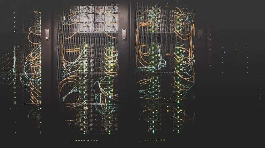immagine server
